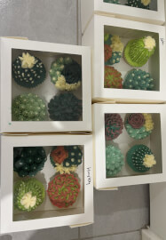 Buttercream Succulent Piping Class