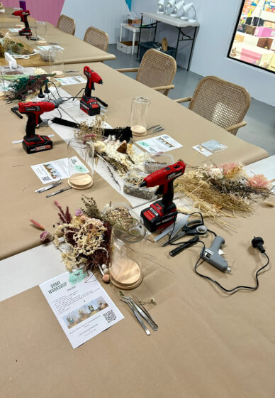 Butterfly Dome Entomology Workshop