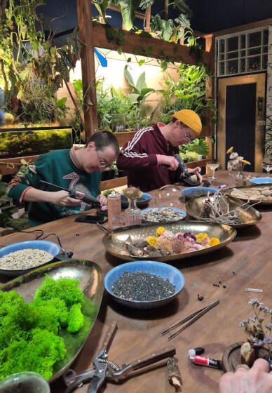 Butterfly Pinning Workshop