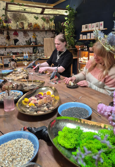 Butterfly Pinning Workshop