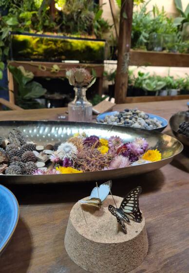 Butterfly Pinning Workshop