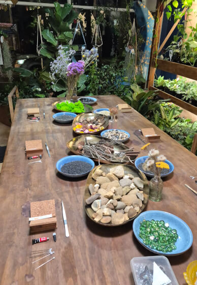 Butterfly Pinning Workshop