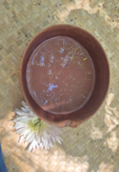 Cacao Ceremony Integration Workshop