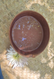 Cacao Ceremony Integration Workshop