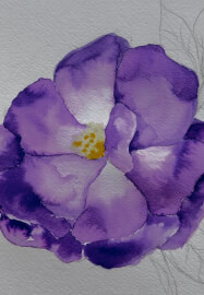 Cacao, Sound Bath and Mindful Watercolour Art Workshop