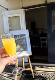 Cacti and Succulent Drawing Workshop