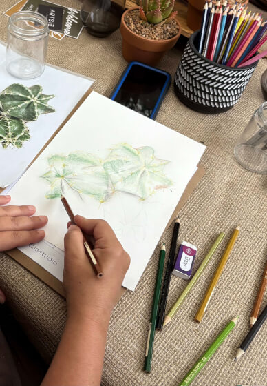 Cacti and Succulent Drawing Workshop