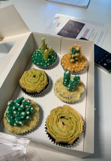 Cactus Cupcake Decorating Class