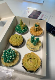 Cactus Cupcake Decorating Class