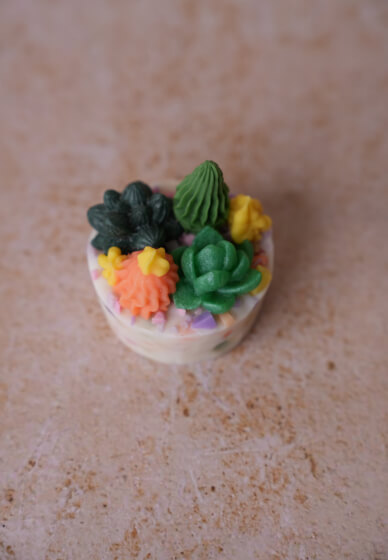 Cactus Soap Class (MP Soap) Birthday Father's Day