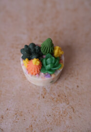 Cactus Soap Class (MP Soap) Birthday Father's Day