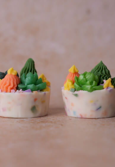 Cactus Soap Class (MP Soap) Birthday Father's Day