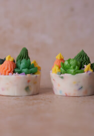 Cactus Soap Class (MP Soap) Birthday Father's Day