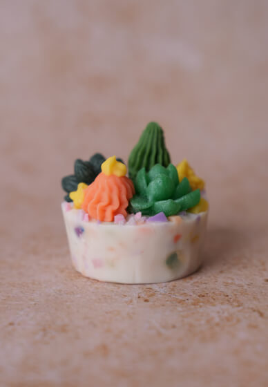 Cactus Soap Class (MP Soap) Birthday Father's Day