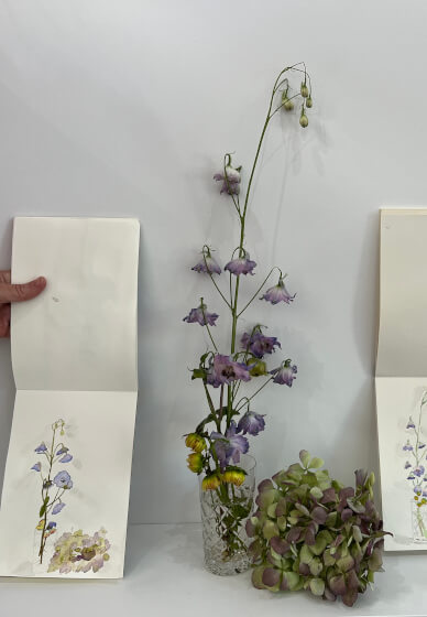 Caelene's Floral Drawing Session: Spring Term