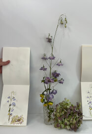 Caelene's Floral Drawing Session: Spring Term