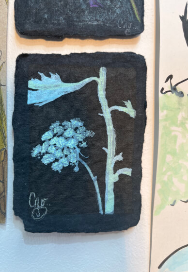 Caelene's Floral Drawing Session: Spring Term