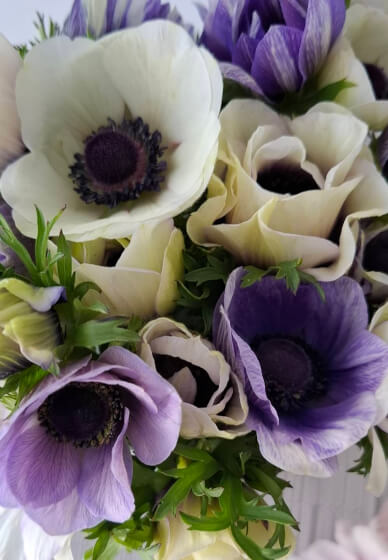 Floral Tea and Conversation Evening Class