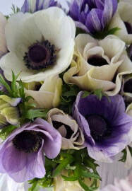Floral Tea and Conversation Evening Class
