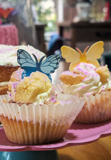 Cake Baking and Decorating Class