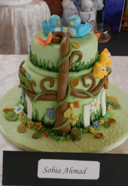 Cake Baking and Decorating Course