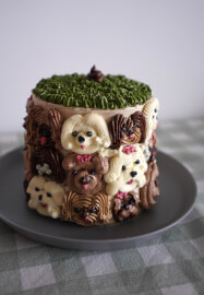 Cake Decorating Workshop (various Flavours and Designs)