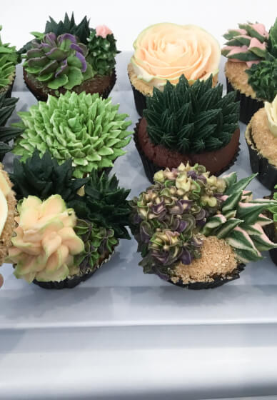 Cake or Cupcake Decorating Bubble Class