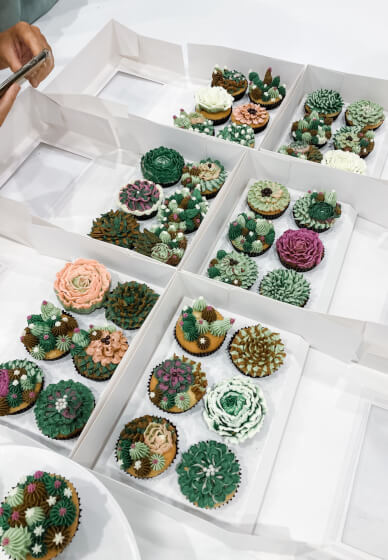 Cake or Cupcake Decorating Bubble Class