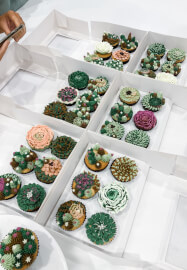 Cake or Cupcake Decorating Bubble Class