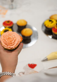 Cake or Cupcake Decorating Bubble Class
