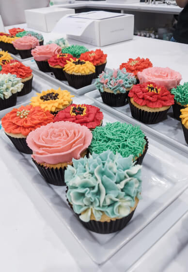 Cake or Cupcake Decorating Bubble Class