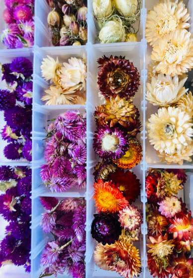 Card Making with Everlasting Blooms Workshop