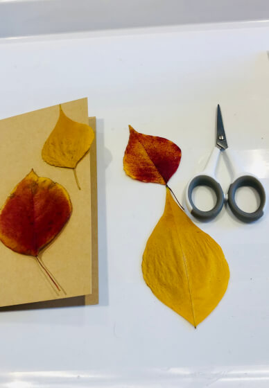 Card Making with Everlasting Blooms Workshop