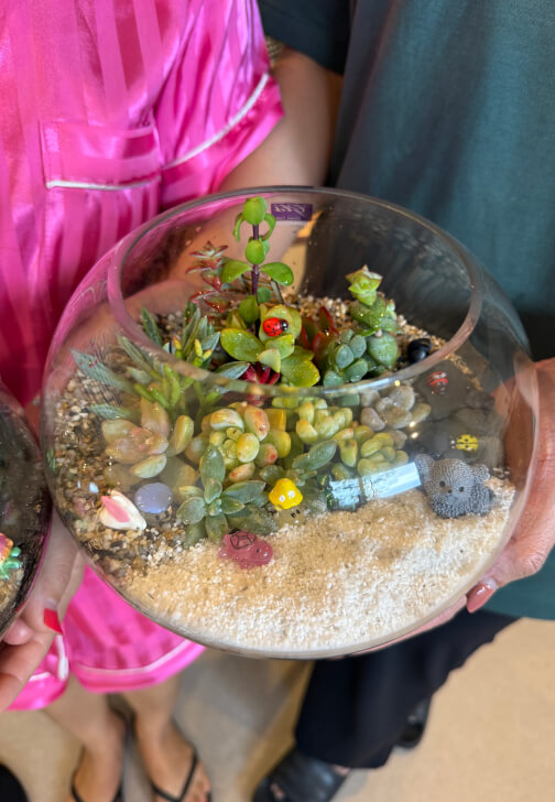 Celebrate Mother's Day with a Terrarium Workshop and Cookie Box