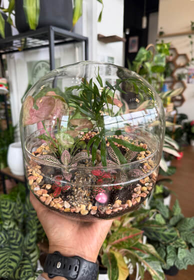 Celebrate Mother's Day with a Terrarium Workshop and Cookie Box