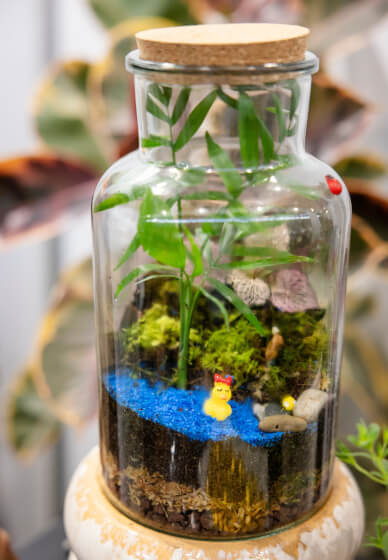 Celebrate Mother's Day with a Terrarium Workshop and Cookie Box