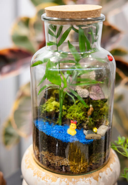 Celebrate Mother's Day with a Terrarium Workshop and Cookie Box