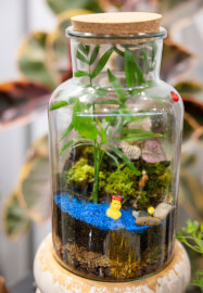 Celebrate Mother's Day with a Terrarium Workshop and Cookie Box