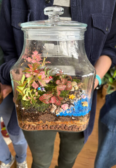 Celebrate Mother's Day with a Terrarium Workshop and Cookie Box