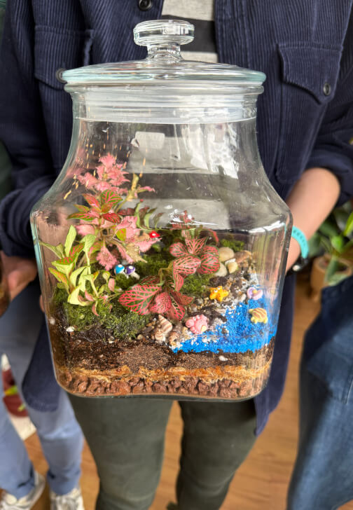 Celebrate Mother's Day with a Terrarium Workshop and Cookie Box
