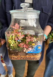 Celebrate Mother's Day with a Terrarium Workshop and Cookie Box