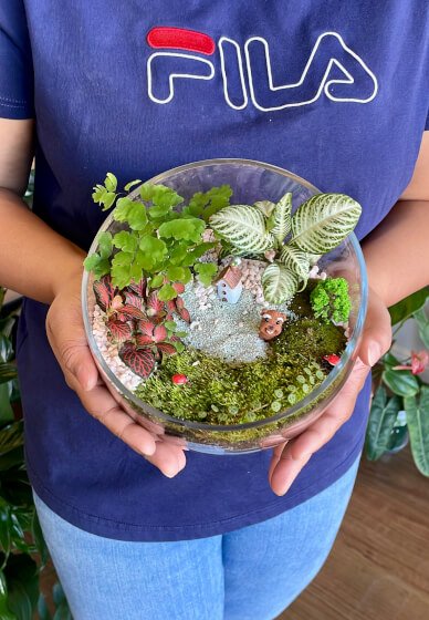 Celebrate Mother's Day with a Terrarium Workshop and Cookie Box