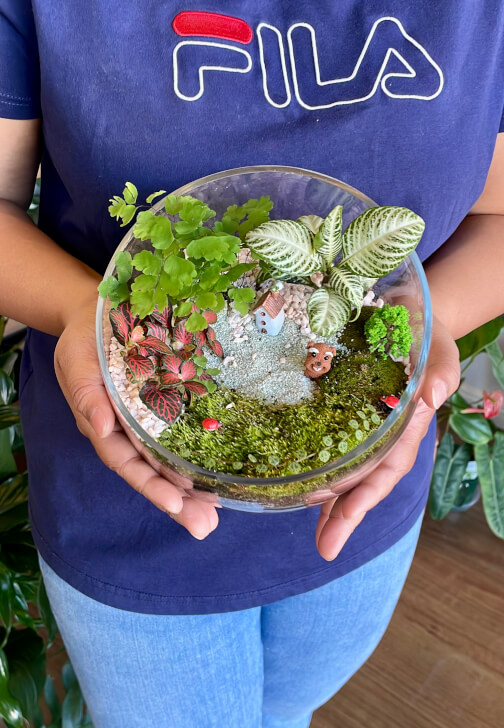 Celebrate Mother's Day with a Terrarium Workshop and Cookie Box