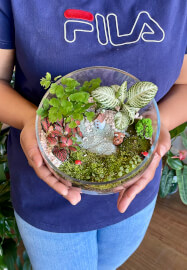 Celebrate Mother's Day with a Terrarium Workshop and Cookie Box