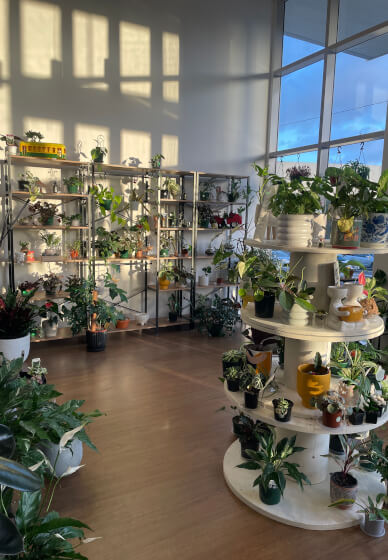 Celebrate Mother's Day with a Terrarium Workshop and Cookie Box