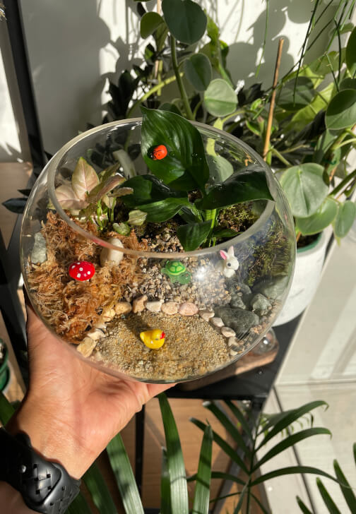 Celebrate Mother's Day with a Terrarium Workshop and Cookie Box