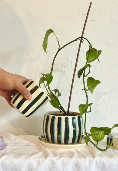 Ceramic Glazing and Sip Class