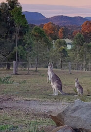Ceramic Serving Bowl Pottery Class