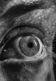 Charcoal and Graphite Drawing Masterclass