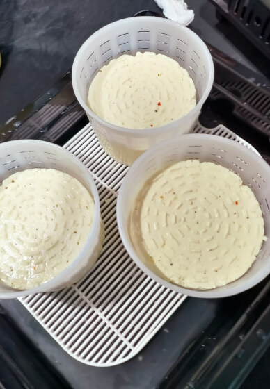 Cheese Making Class: Feta